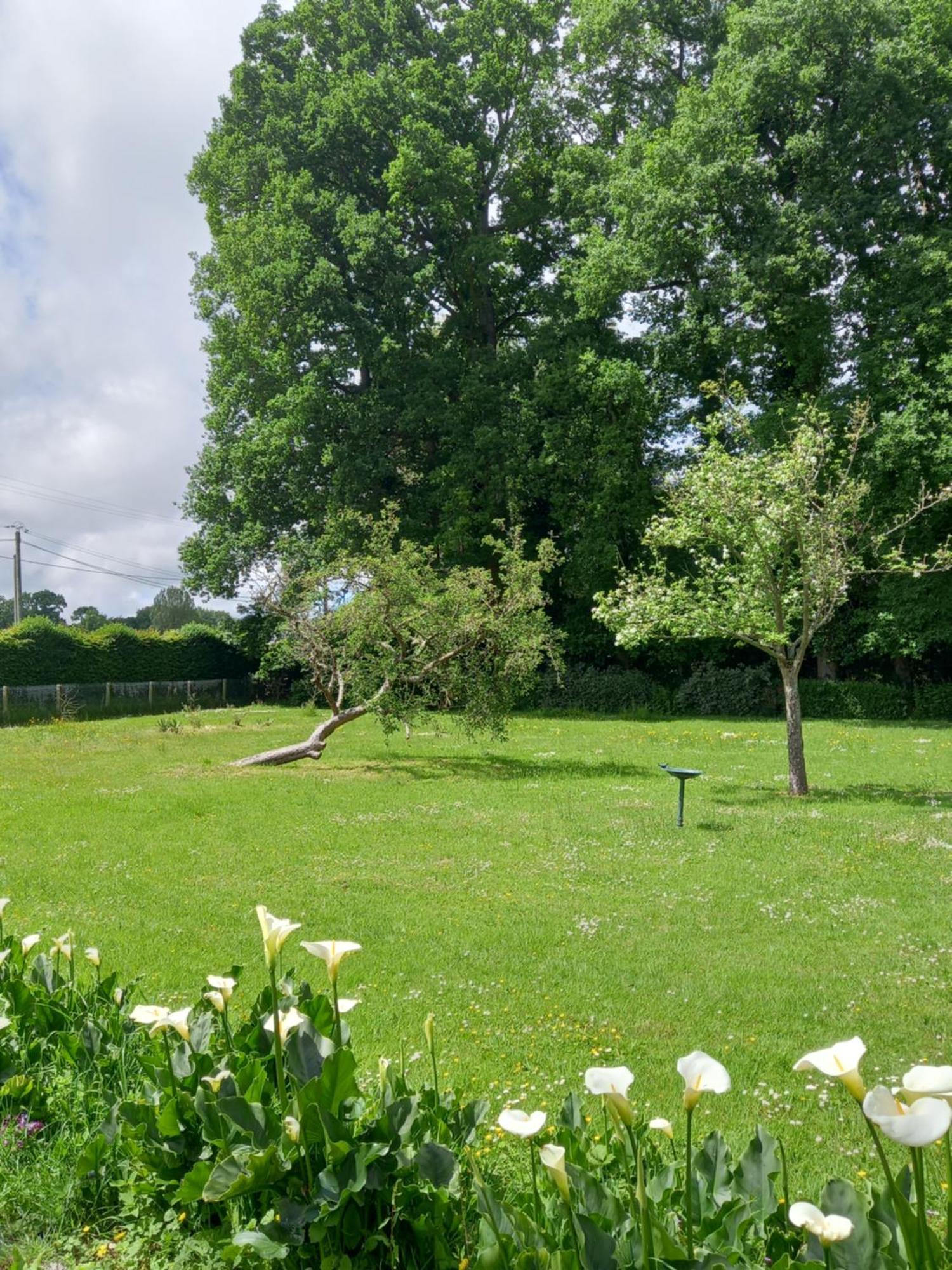 Villa Les Sentiers Normands Daubeuf-Serville Esterno foto